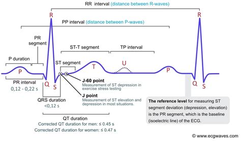 ECG interpretation: Characteristics of the normal ECG .